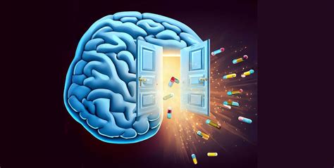 brain out lv 5|microplastics crossing blood brain barrier.